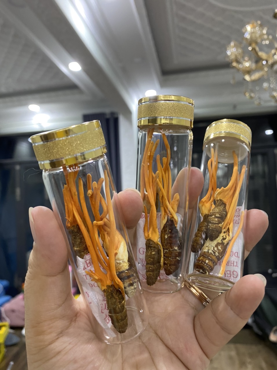 Đông Trùng Hạ Thảo Thượng Hạng Golden 10 - Ký Chủ Nhộng Sấy Thăng Hoa (lọ dùng thử từ 2-3 ký chủ Nhộng))
