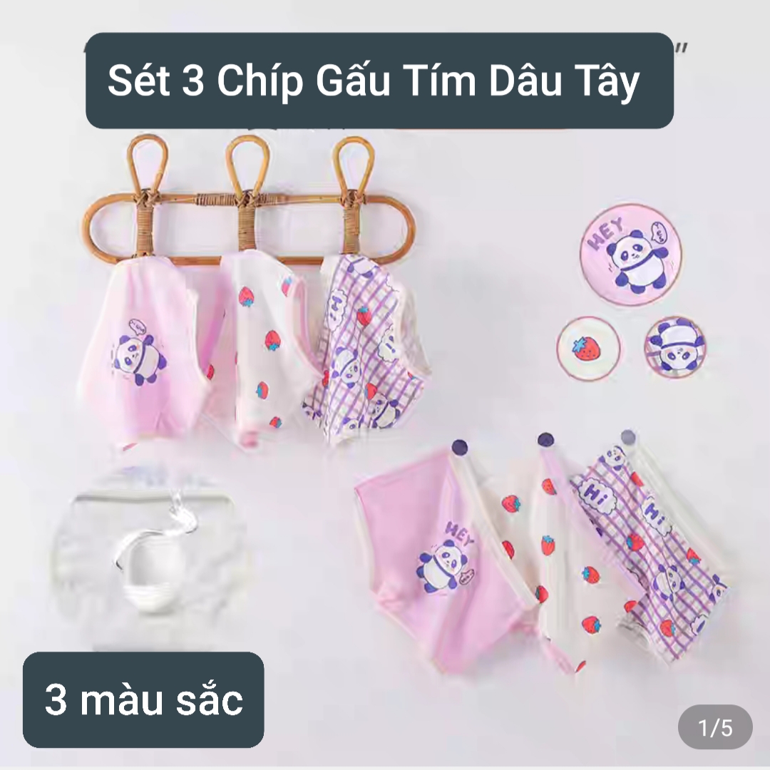 Quần chip bé gái Combo 3 quần lót trẻ em từ 9-45kg