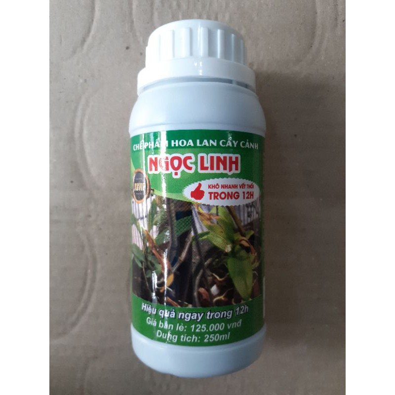Chế phẩm đặc thối nhũn ngọc linh 12h a8vip chai 250ml