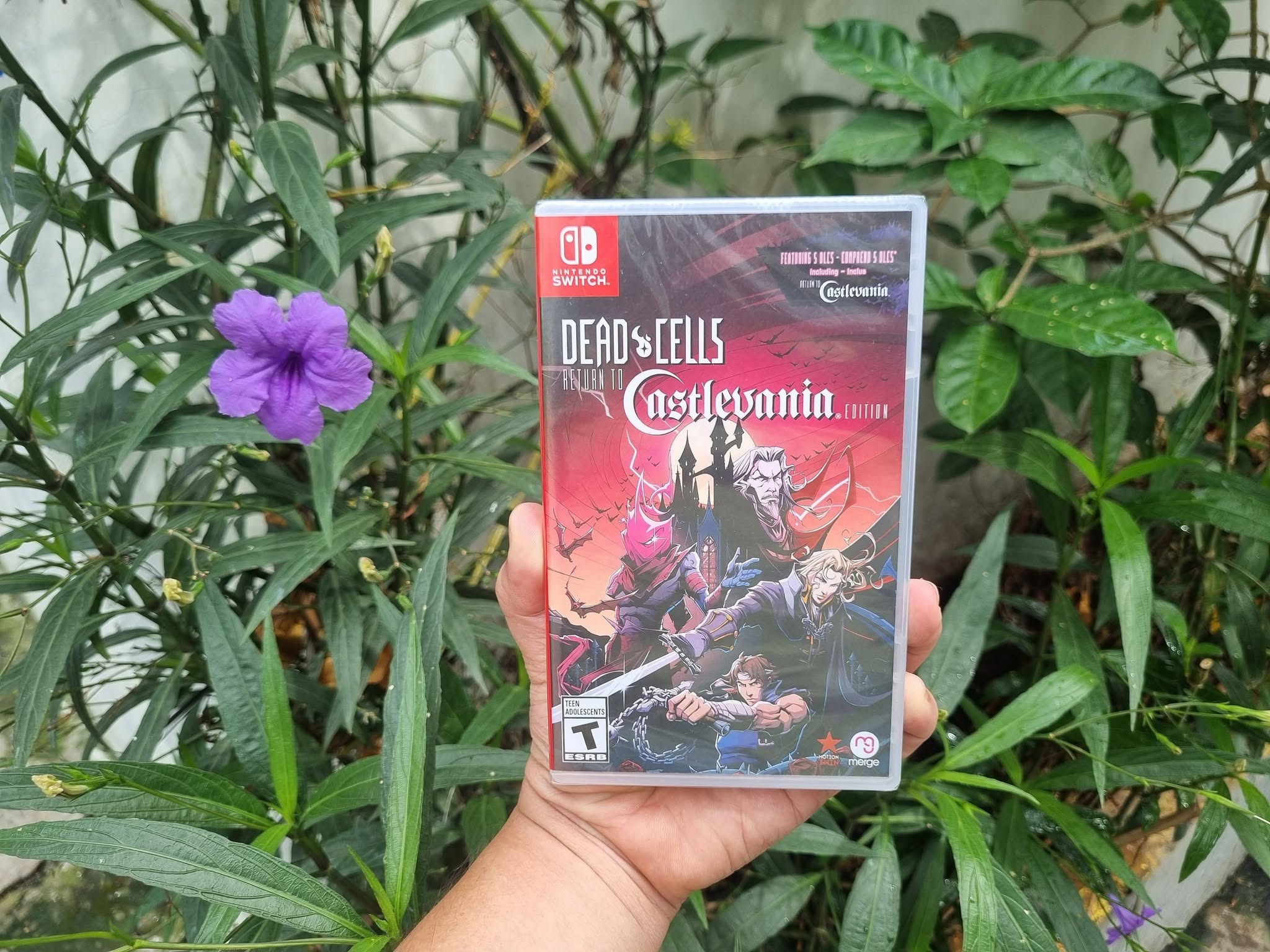 Băng thẻ game Dead Cells Return to Castlevania Nintendo Switch