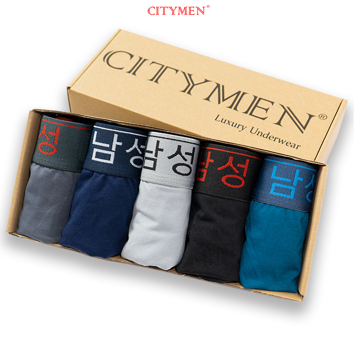 Hộp 5 Quần Lót Nam vải cotton hiệu CITYMEN lưng Hàn Quốc co giãn 4 chiều, đồ lót - CTLZ-HANAC