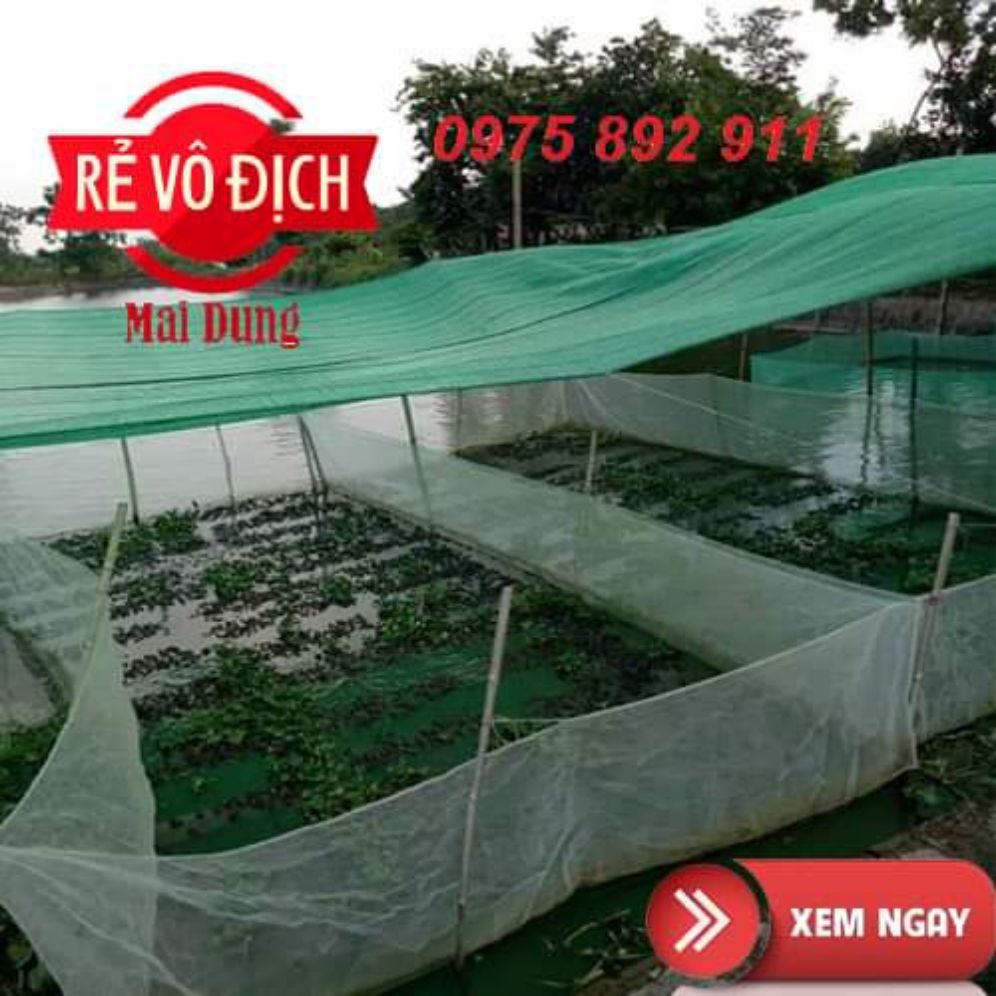 tráng lưới nuôi ốc nhồi loại 5x4x1,3