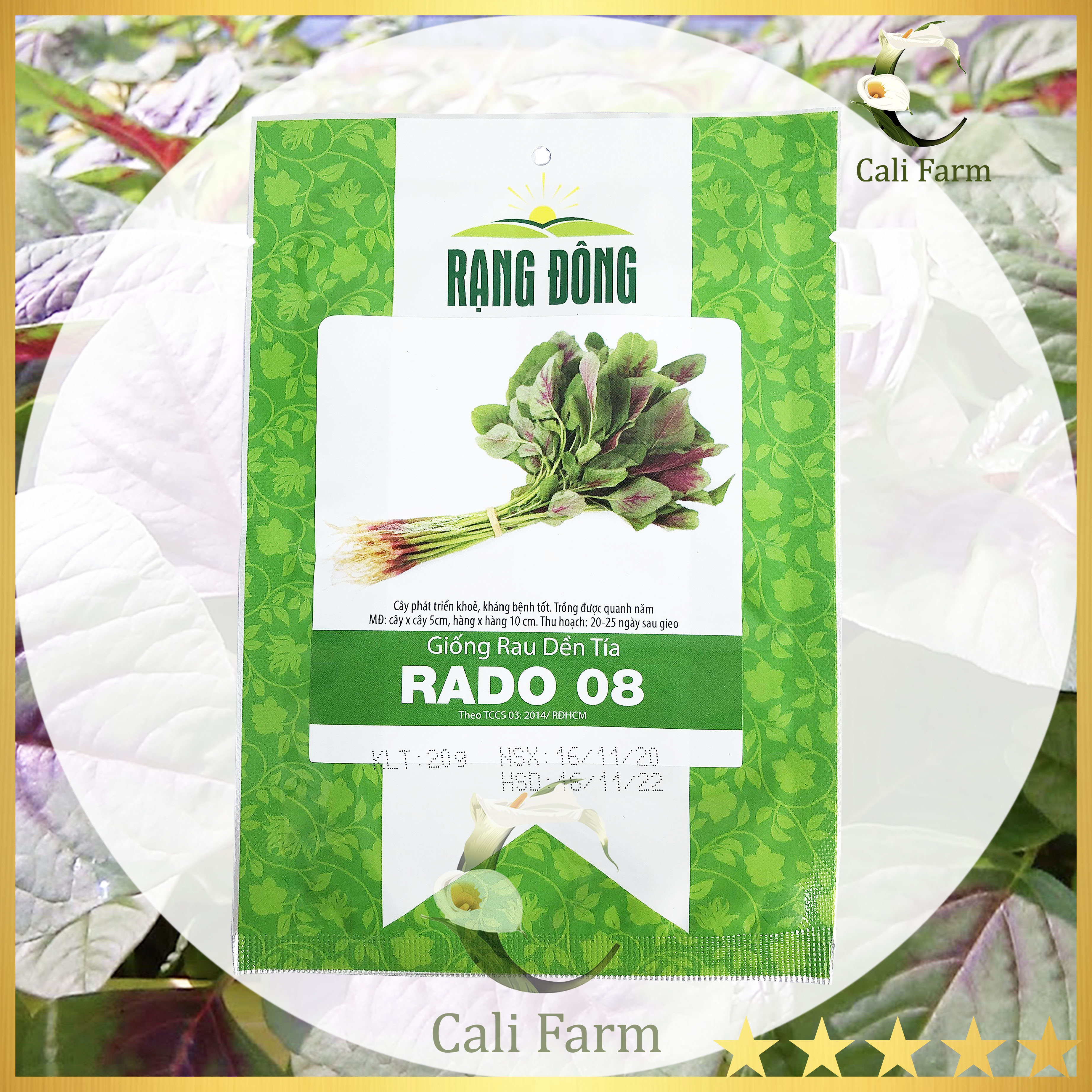 Hạt Giống Rau Dền Tía Rado 08