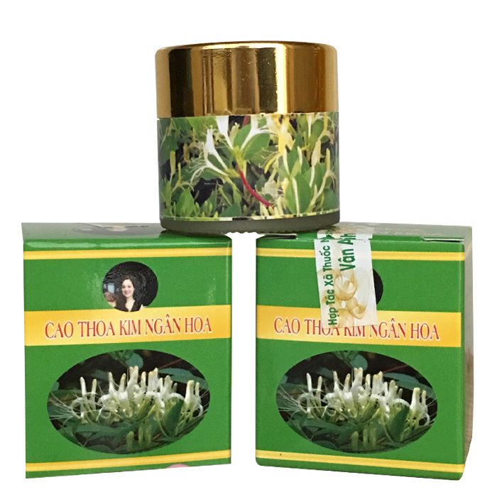 CAO THOA KIM NGÂN HOA