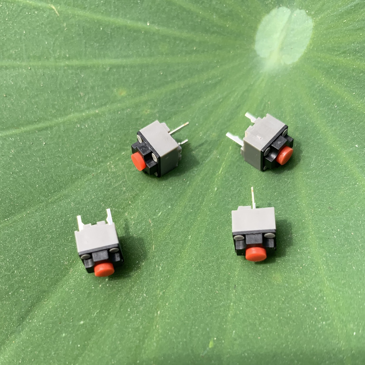 CHÍNH HÃNG - Nút bấm chuột KAILH Silent Switch - 8 Triệu lần bấm