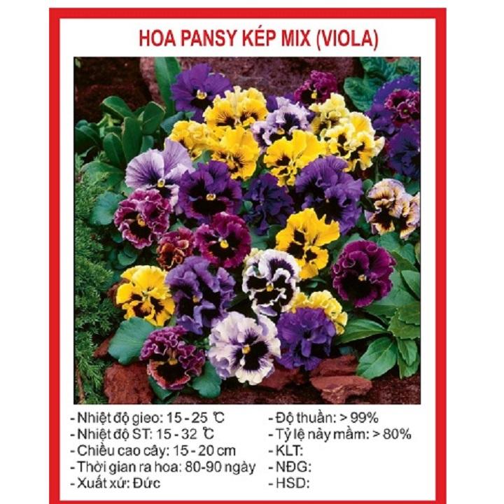 Hạt giống hoa pansy kép mix viola gói 50 hạt xuất xứ Đức