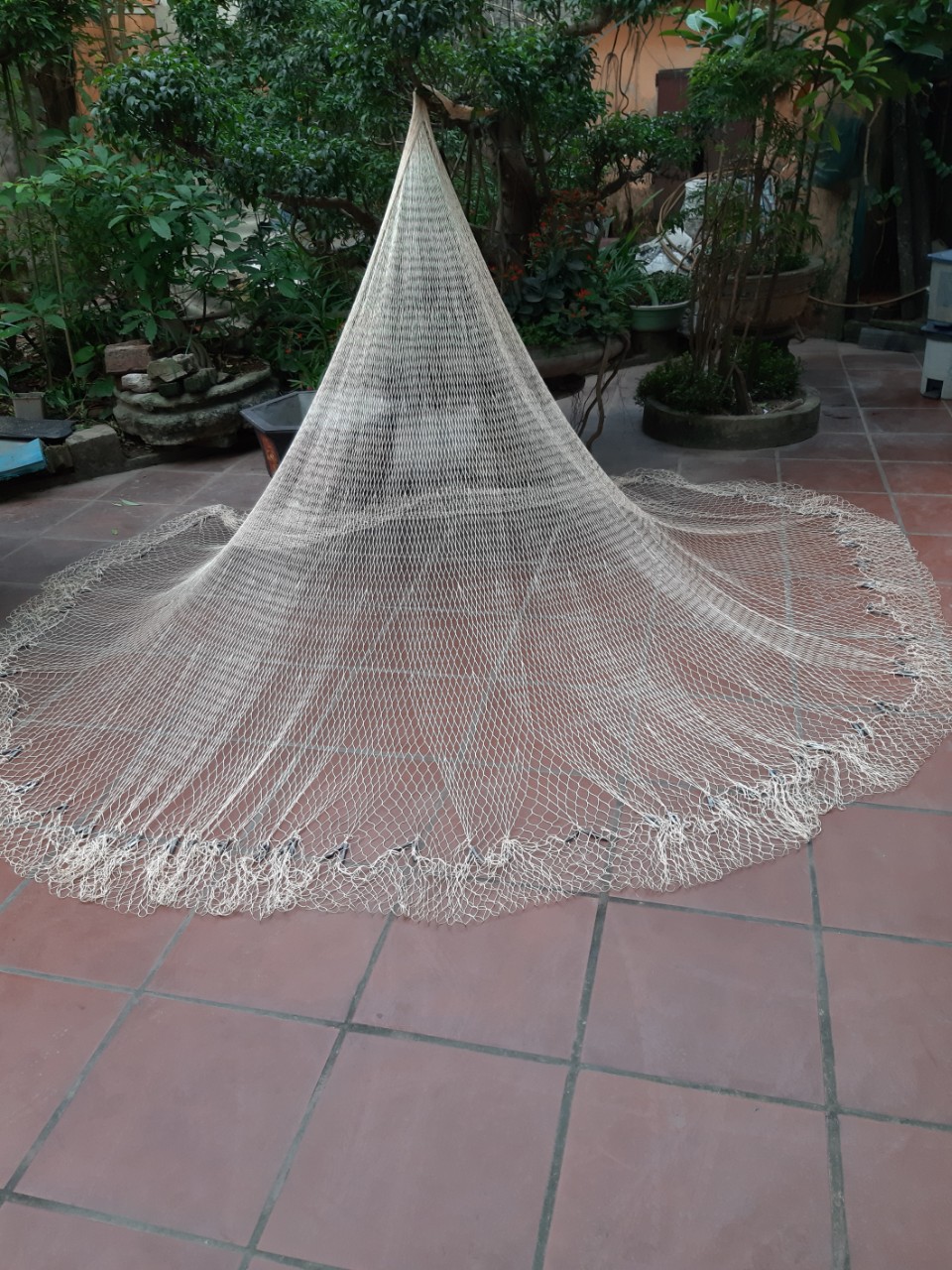 chài cá 6cm cao 3m2