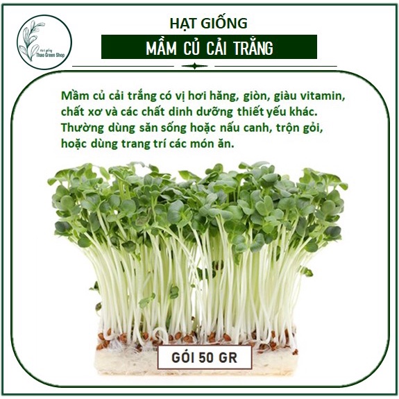 Hạt giống rau mầm củ cải trắng 50gr