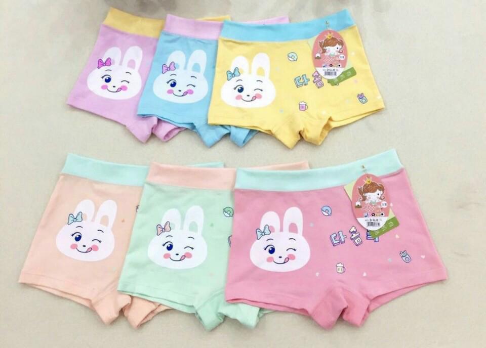 -combo 5 quần chip đùi bé gái cotton phối lưng in thỏ