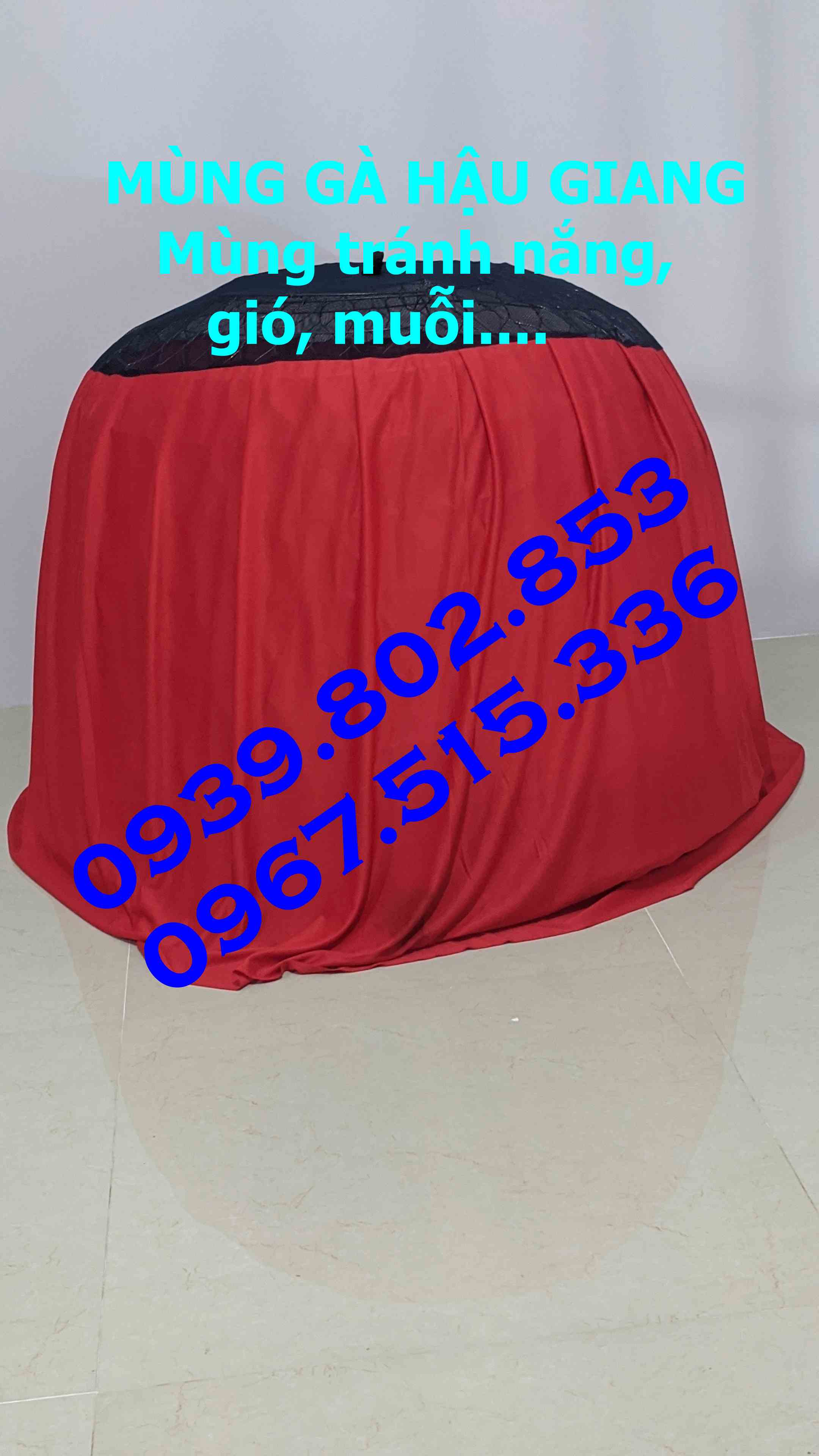 1 cái Mùng trùm bội gà 1Mét2 gà nòi