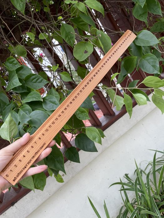Thước gỗ sồi nguyên khối cao cấp, không mờ, kích thước chuẩn