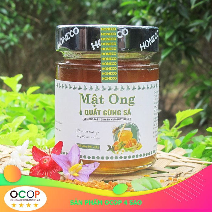 Mật ong quất gừng sả Tam Đảo