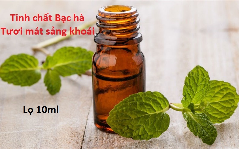 Tinh dầu xông hương Bạc Hà tự nhiên lọ 10ml
