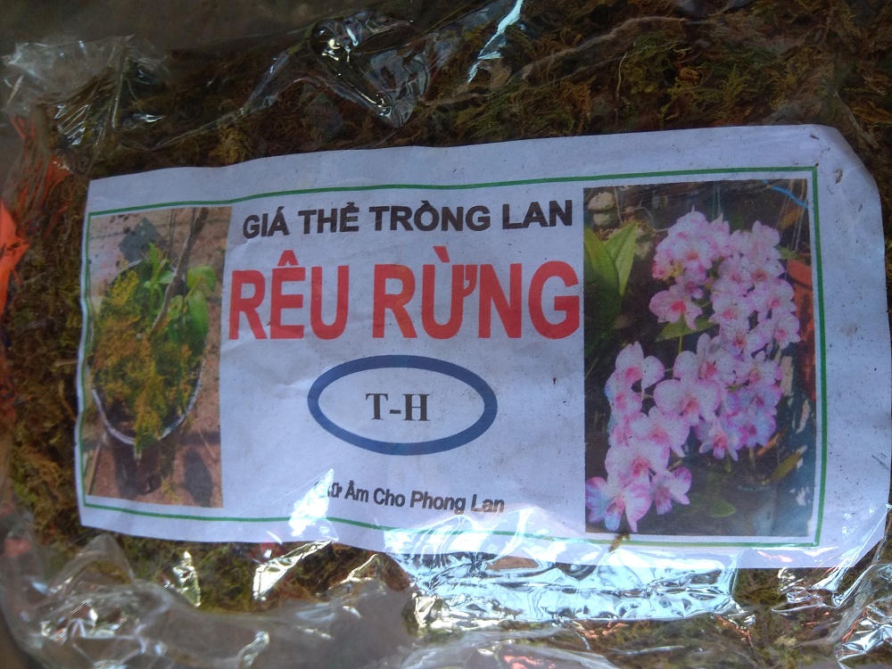 [HCM]Rêu rừng trồng lan - gói 100 gram