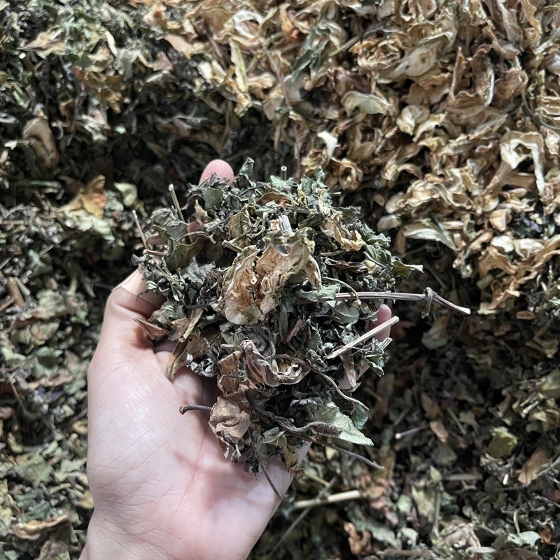 LÁ TẮM BÉ THẢO MỘC