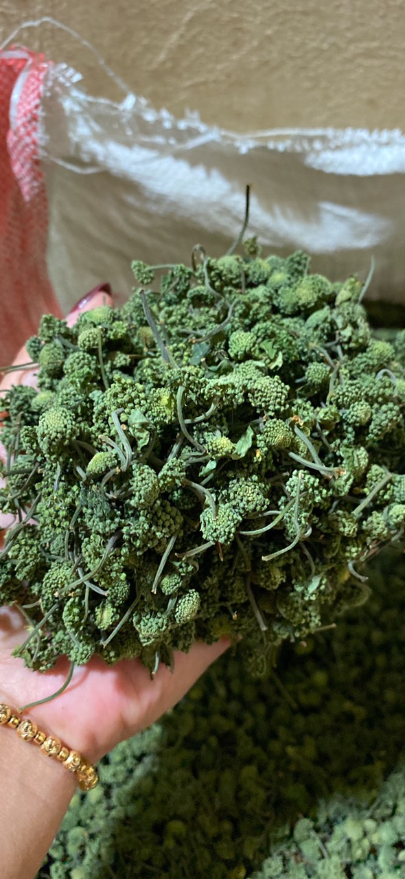 1kg Nụ hoa tam thất