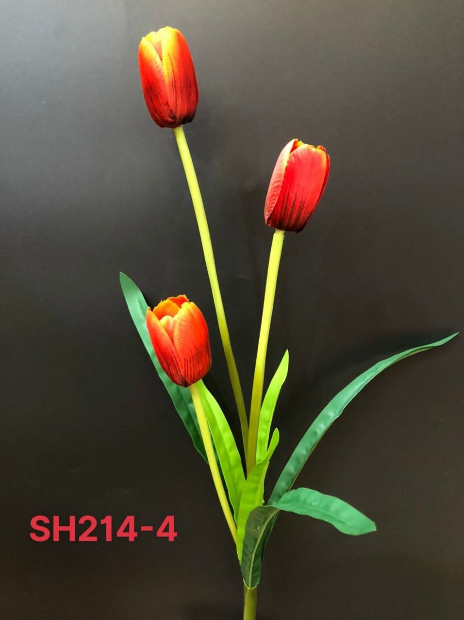 hoa tulip vải 3 bông