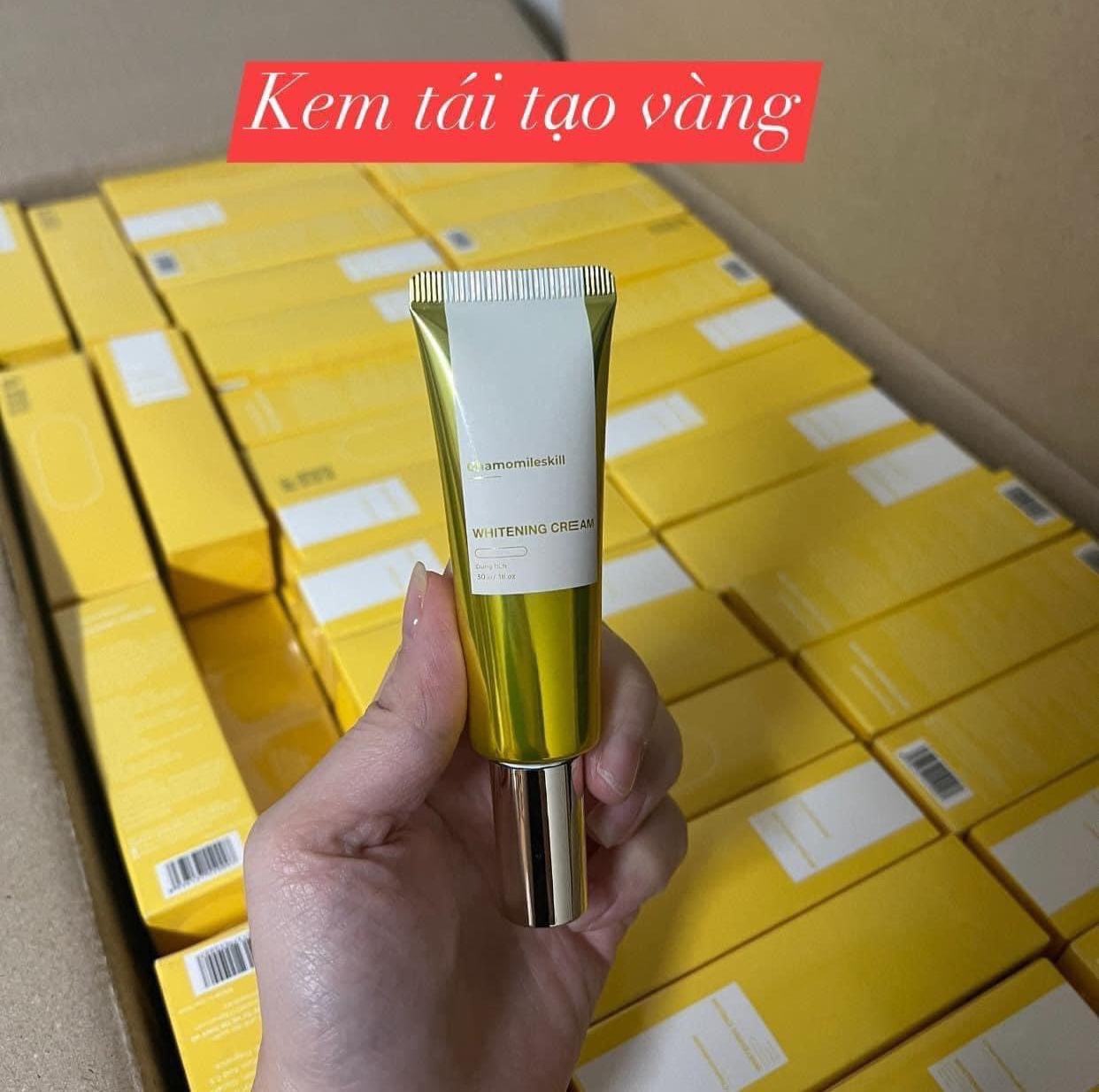 Kem tái tạo Chamomileskill MẪU MỚI