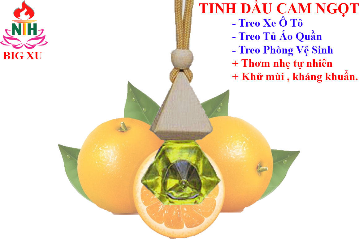 TINH DẦU CAM NGỌT TREO XE TỦ QUẦN ÁO PHÒNG VỆ SINH KHỬ MÙI HÔI THƠM NGÁT CHỐNG SAY XE HIÊU QUẢ.