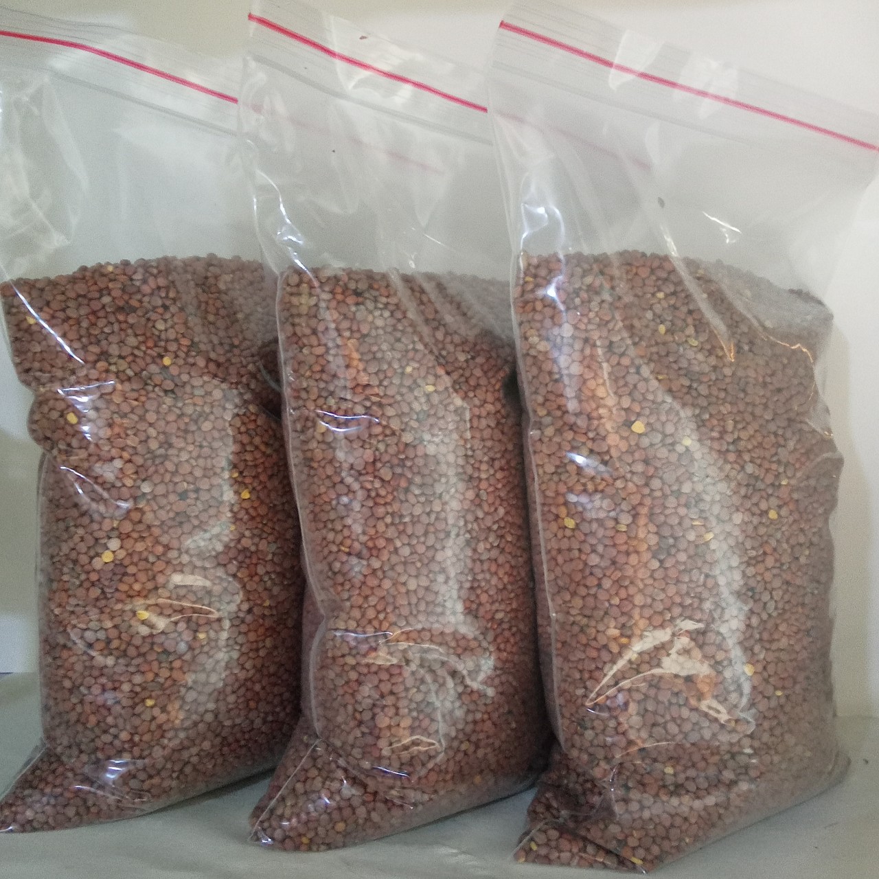 Set 3 kg - hạt giống cải trắng chuyên trồng rau ăn mầm