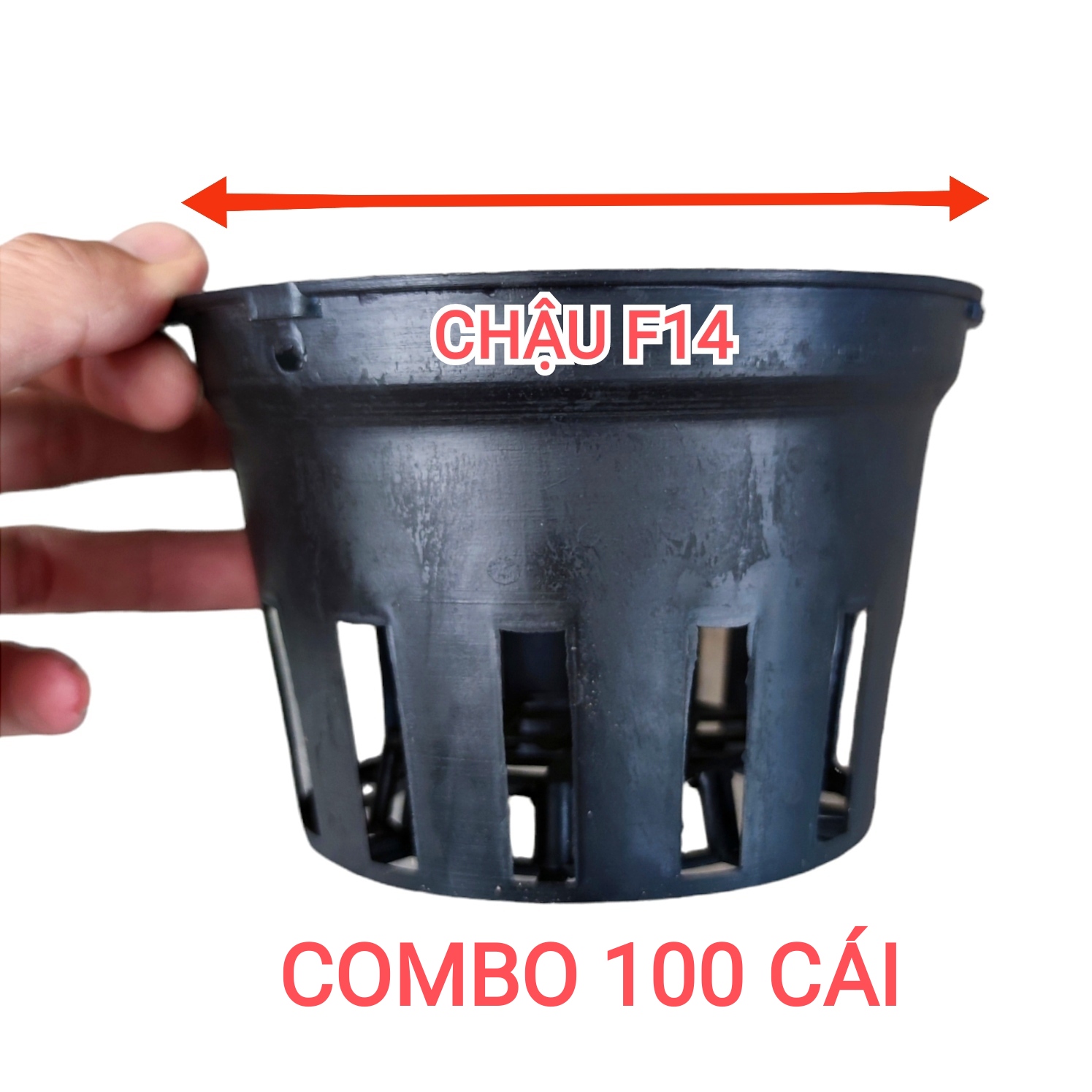 Chậu nhựa trồng lan phi 14 - combo 100 cái