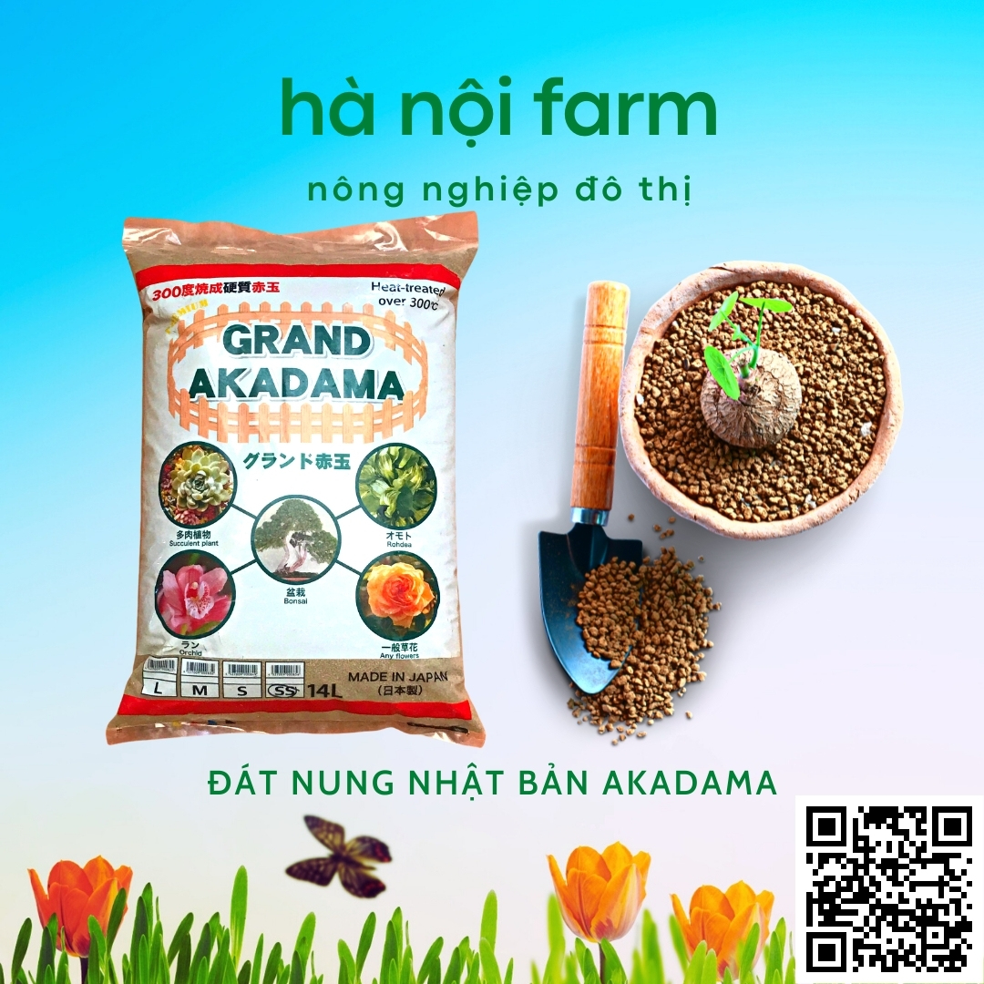 Đất nung nhật bản akadama, đất nung núi lửa - 1kg