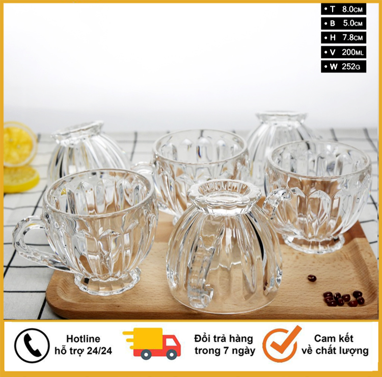 Bộ 6 Ly Thủy Tinh Uống Trà - BỘ 6 LY THỦY TINH UỐNG TRÀ, CAFE, NƯỚC HOA QUẢ -BỘ 6 CỐC CAO CẤP HÀNG CHUẨN QUÀ TẶNG - Bộ 6 Ly Thủy Tinh Bầu Lùn Uống Trà, Cafe - Bộ 6 ly thủy tinh uống trà -Ly Lùn Uống Nước