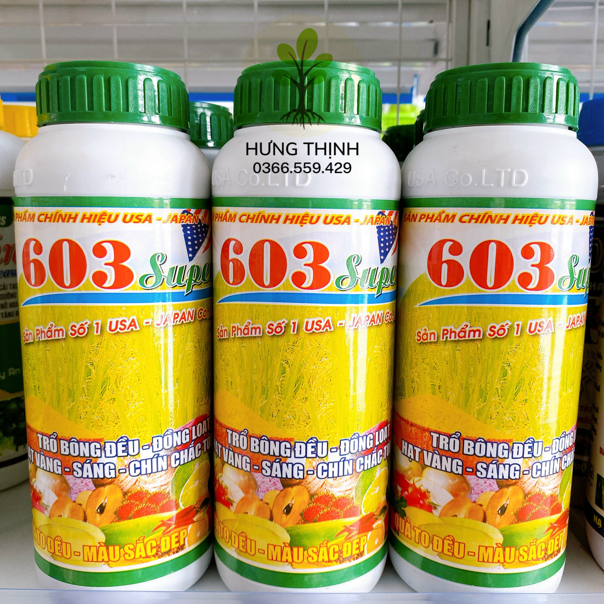 603 super chai 1 lít, to đẹp trái, trổ đều đồng loạt, hạt vàng sáng