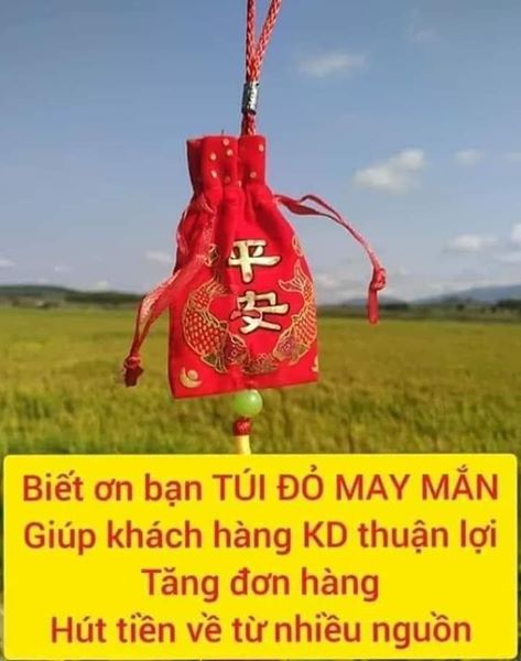 Túi đỏ may nắm và 10 gói bột alofa