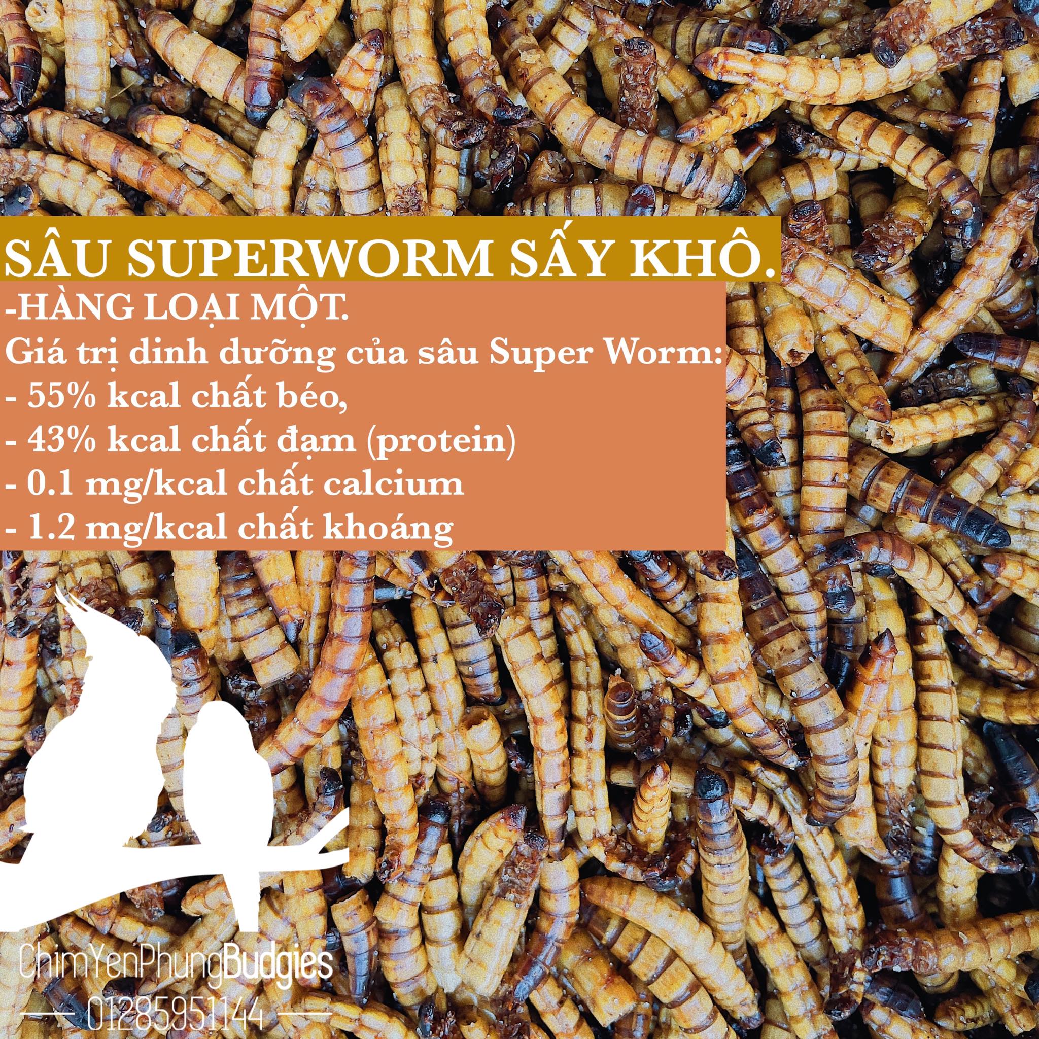 1kg | sâu superworm sấy khô, thức ăn: cá rồng, chim cảnh, rùa, kỳ tôm, giàu dinh dưỡng.