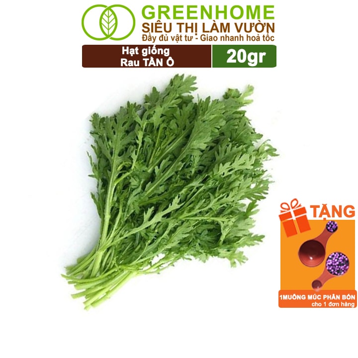 Hạt giống rau tần ô greenhome, gói 20g, cải cúc dễ trồng, thu hoạch nhanh r02