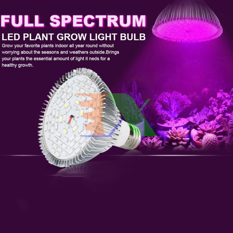 Đèn trồng cây, Đèn led trồng rau trong nhà, Led grow lights 50W, E27, Đèn trồng cây trong nhà chuyên dụng
