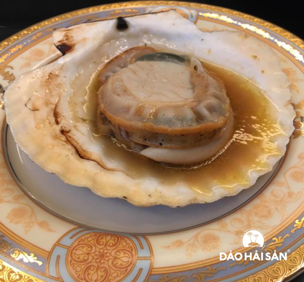 HCM - Sò Điệp Nhật nguyên con  1Kg