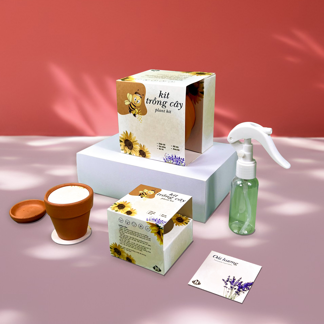 Kit trồng cây mini -bộ trồng cây hạt giống hoa oải hương | plant kit - lavender mầm xinh