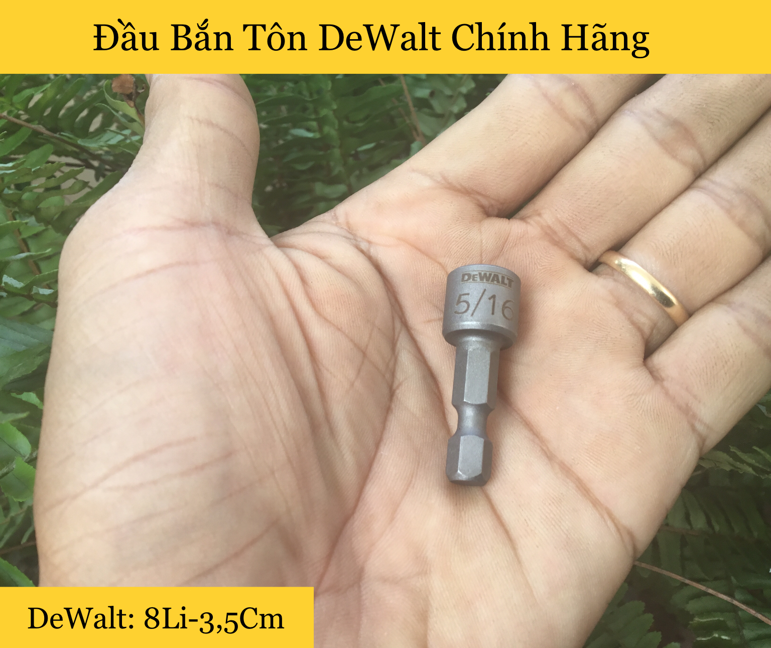 [HCM]Đầu Bắn Tôn DeWalt 8li-3.5Cm