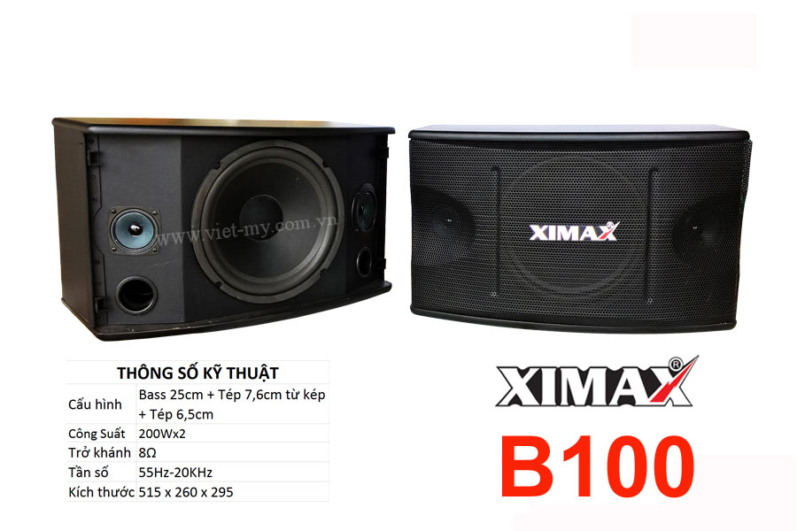 Loa karaoke gia đình, loa thùng treo tường, bass 25 3 đường tiếng, nghe nhạc, hát karaoke, loa công suất lớn caliphate ximax a252, b100 cao cấp