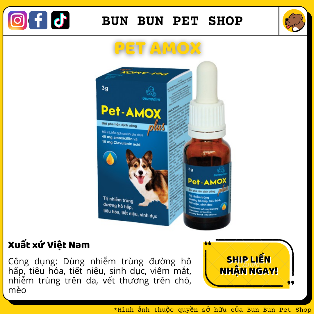 Dung dịch uống Pet Amox hỗ trợ hô hấp, tiêu hoá