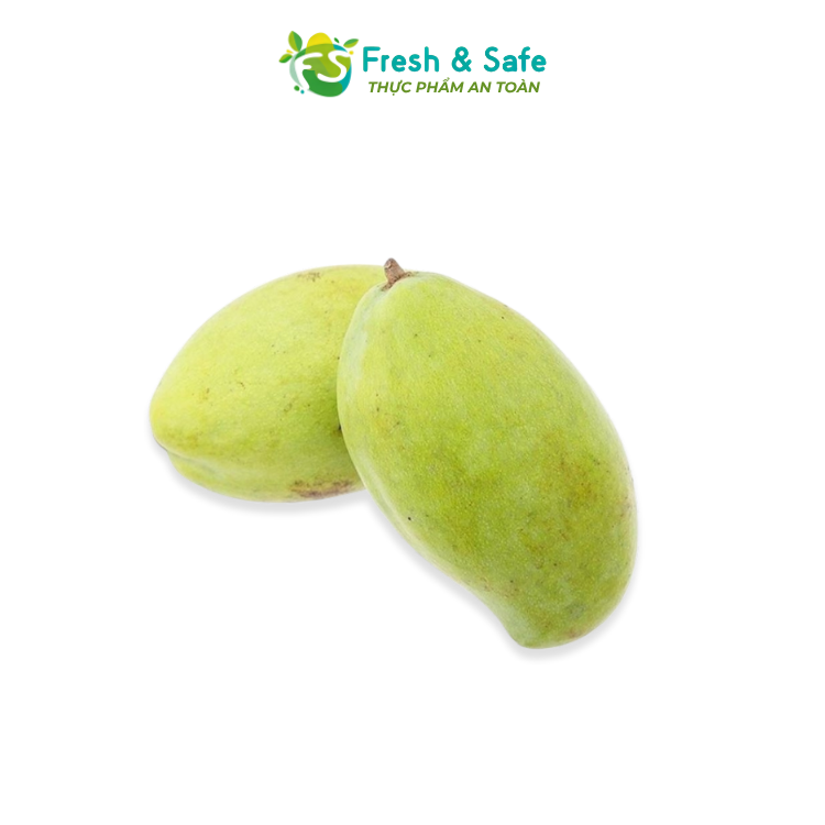 [HOẢ TỐC HCM] Xoài Xanh Keo - 1kg