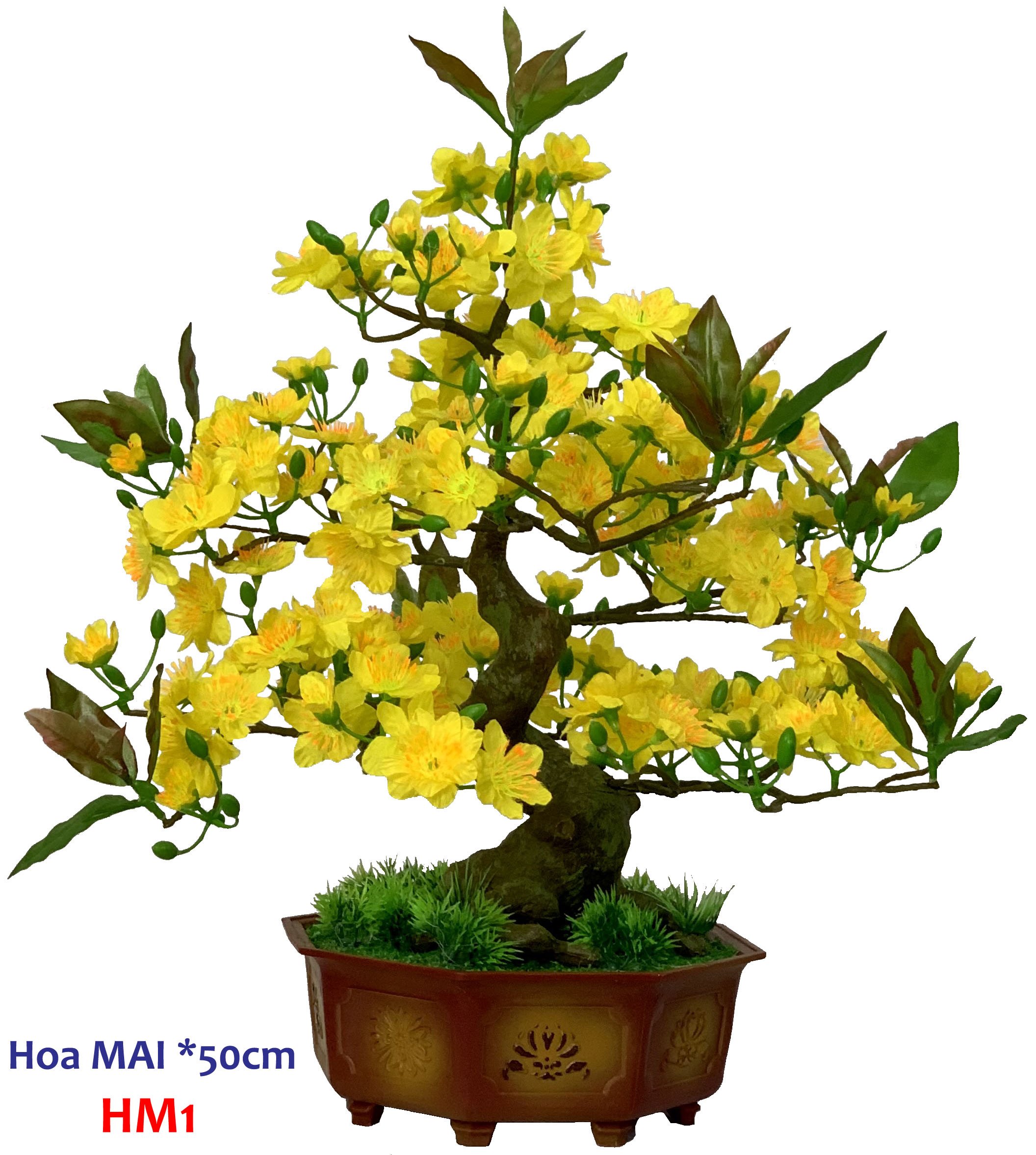 Chậu Hoa mai nhựa trang trí tết 50cm -HM1