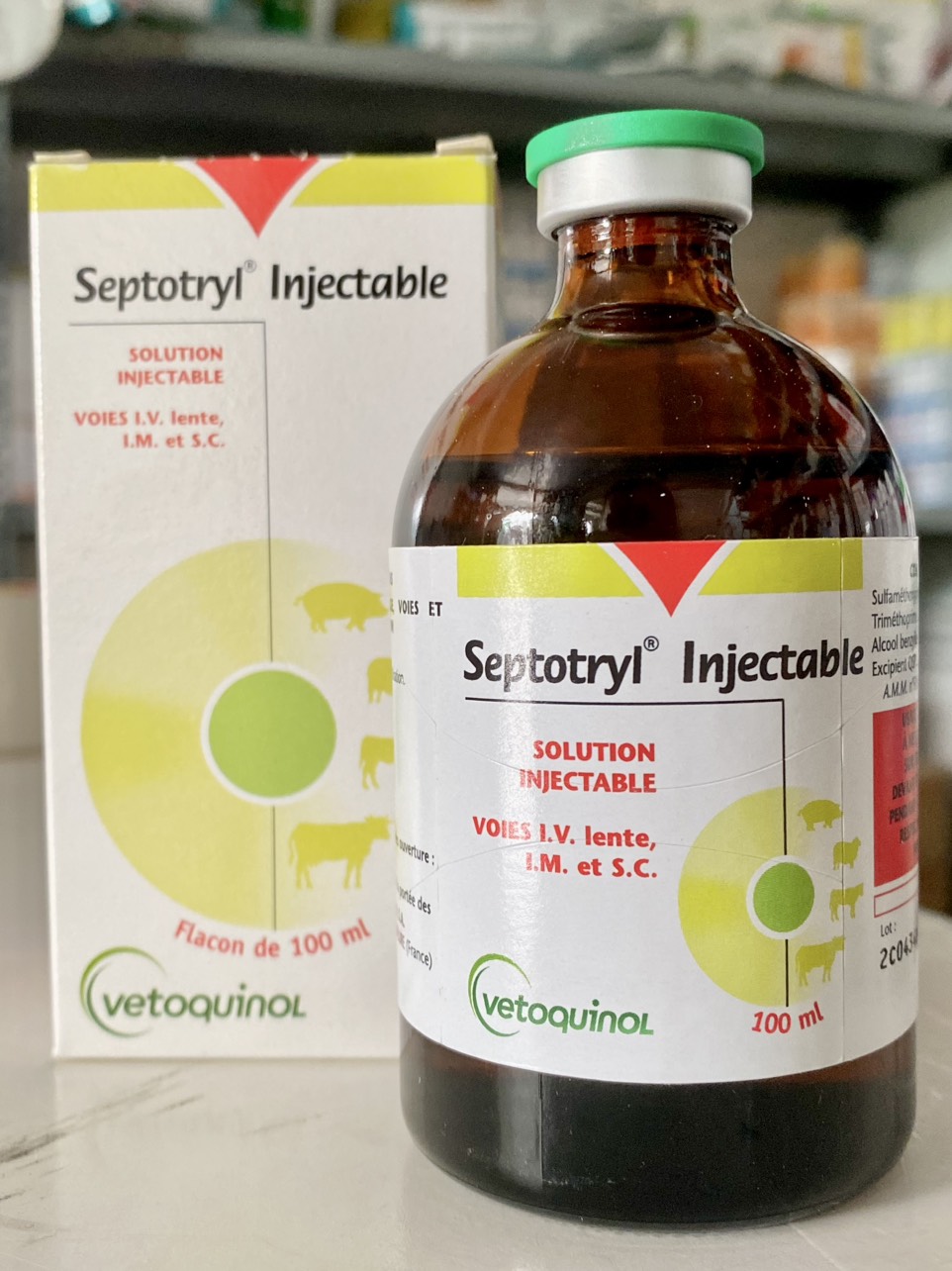 Septotryl Injectable 100ml Dùng cho gia súc, dê, cừu..