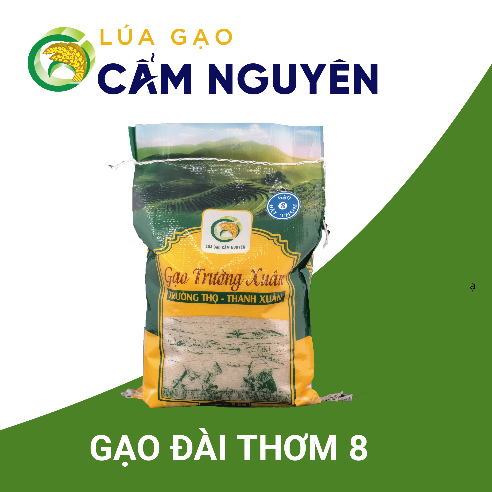 Gạo Đài Thơm 8 Trường Xuân Cẩm Nguyên bao 5kg