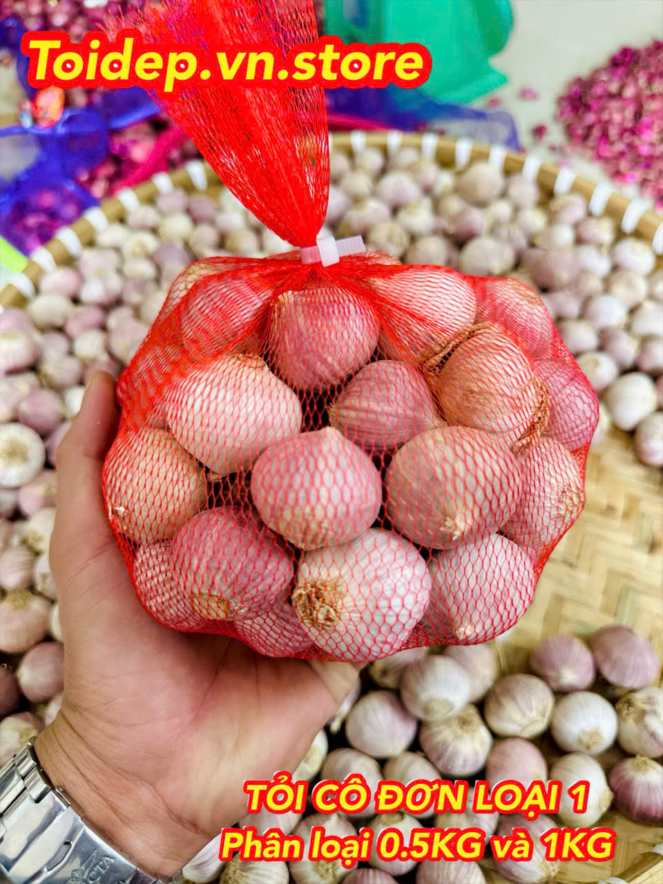 TỎI CÔ ĐƠN LOẠI 1 CỦ TO (SIZE 55 - 59 CỦ 1KG) CHUYÊN LÀM TỎI ĐEN,GIA VỊ NẤU ĂN,HÀNH,TỎI,GỪNG.HÀNH TÍM,TỎI ĐEN,TỎI LÝ SƠN