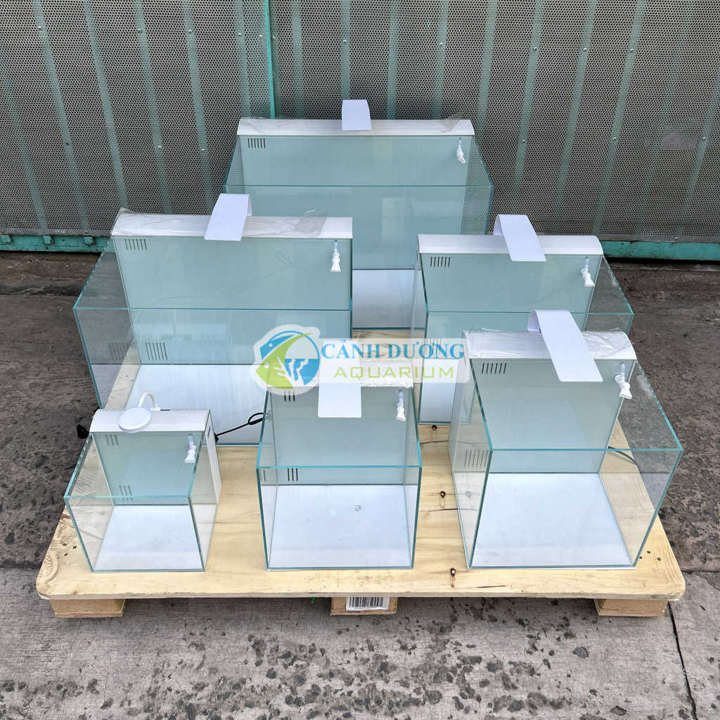 Size 30x30x30cm - Hồ cubic 30 - Combo hồ lọc vách kính siêu trong - Hồ lọc vách mini để bàn