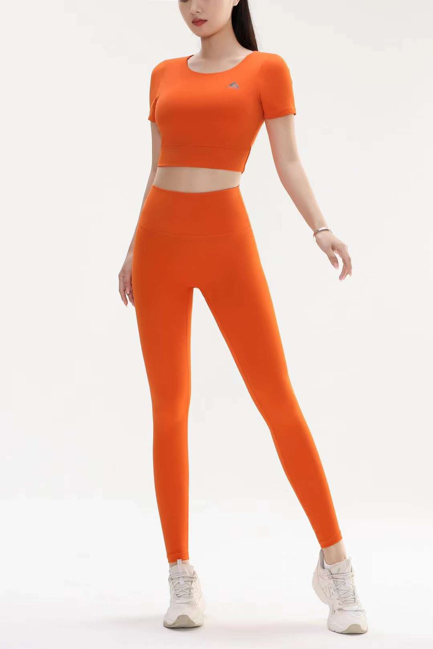 Set thể thao thun lạnh cao cấp quần dài áo croptop NiQiYaYaBei đẹp xuất sắc nhiều màu size L,M