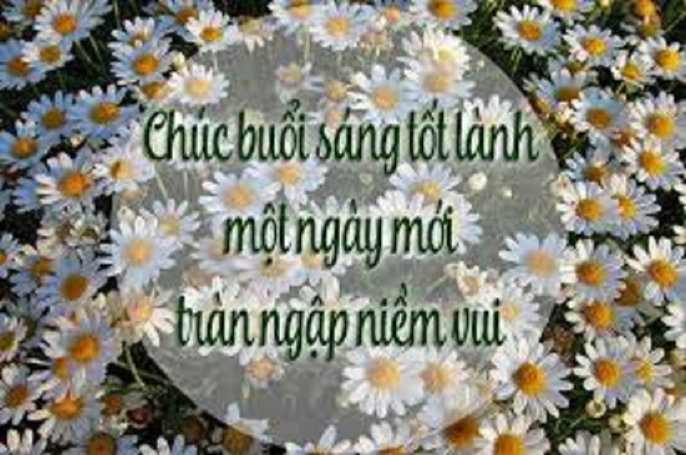 [HCM]Tặng Lời Chúc Chứ Không Có Hiện Vật A/C lưu ý dùm -  Ngày mới là một cơ hội khác để chúng ta tận hưởng cuộc sống và mang ấm áp đến cho mọi người. Chúc Anh/chị có một ngày mới thật tốt lành và vui vẻ nhé !