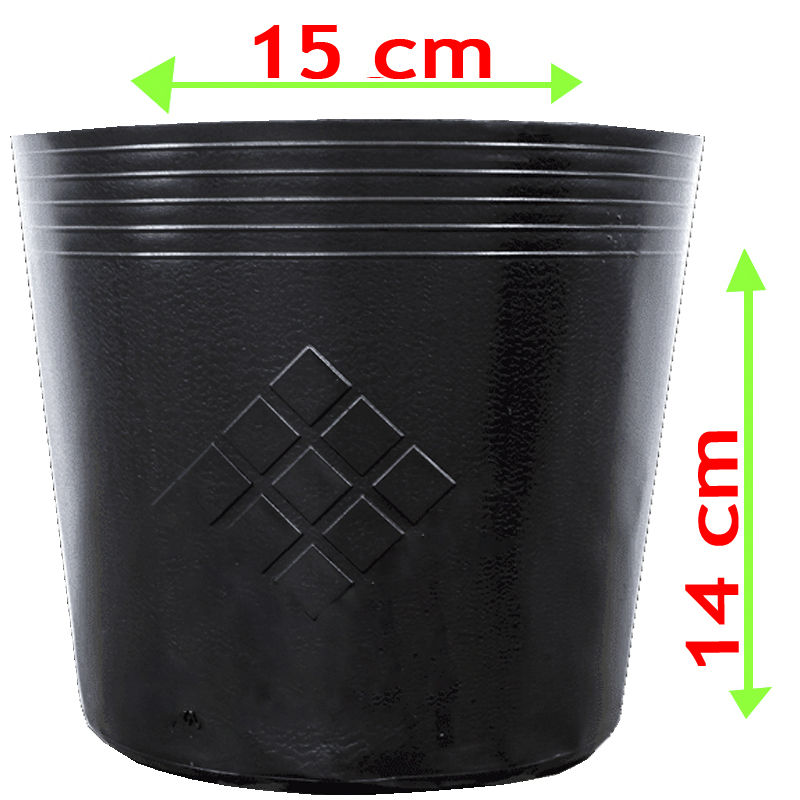[HCM]50 Chậu nhựa C6 trồng cây và ươm cây giống miệng.cao 15x14 cm -77100
