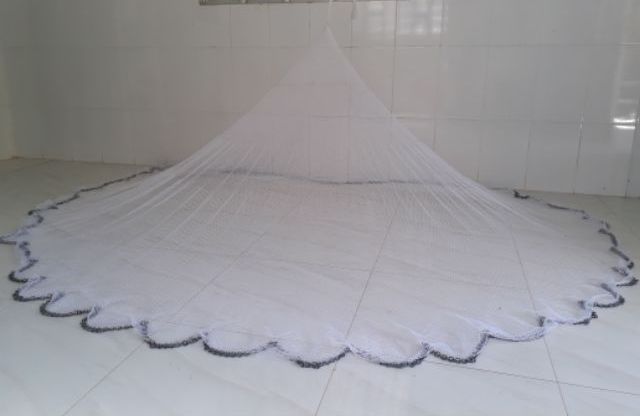 Chài dù trắng - chân xích lỗ