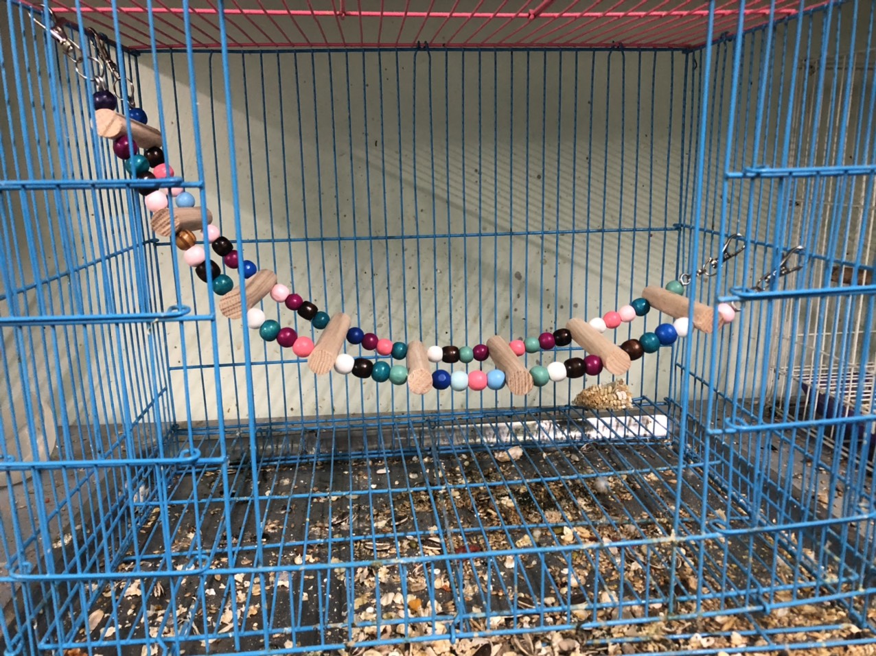 Thang gỗ treo lồng cho vẹt, hamster, sóc chơi