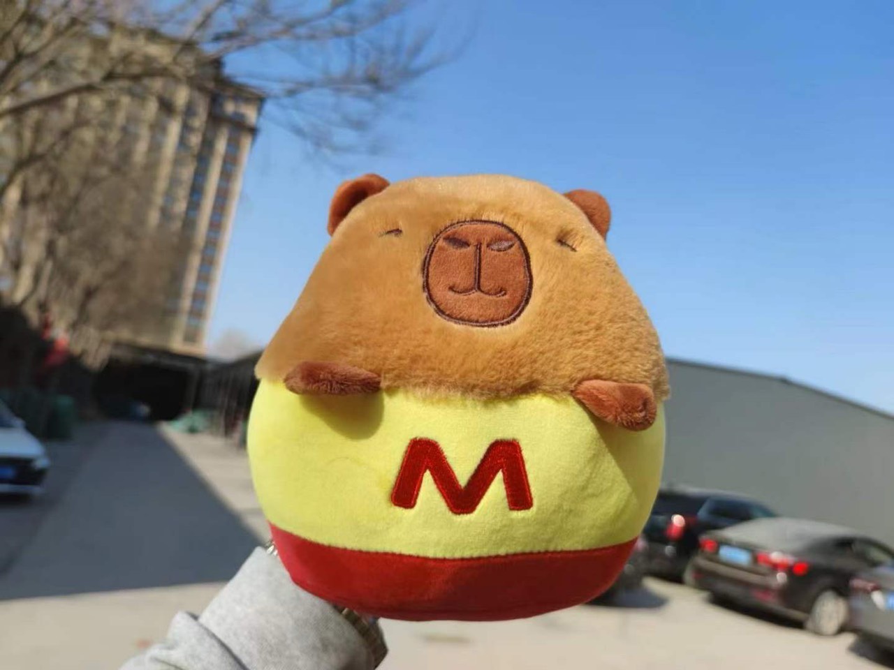 Gấu bông Capybara size 25cm