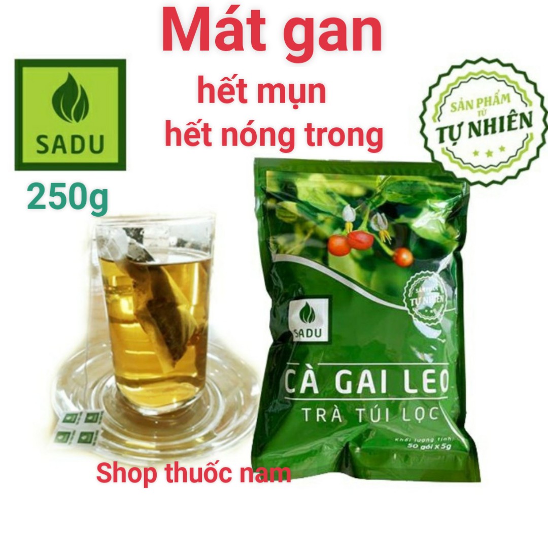 Trà thải độc gan cà gai leo sadu-tăng cường chức năng gan-bảo vệ tế bào gan